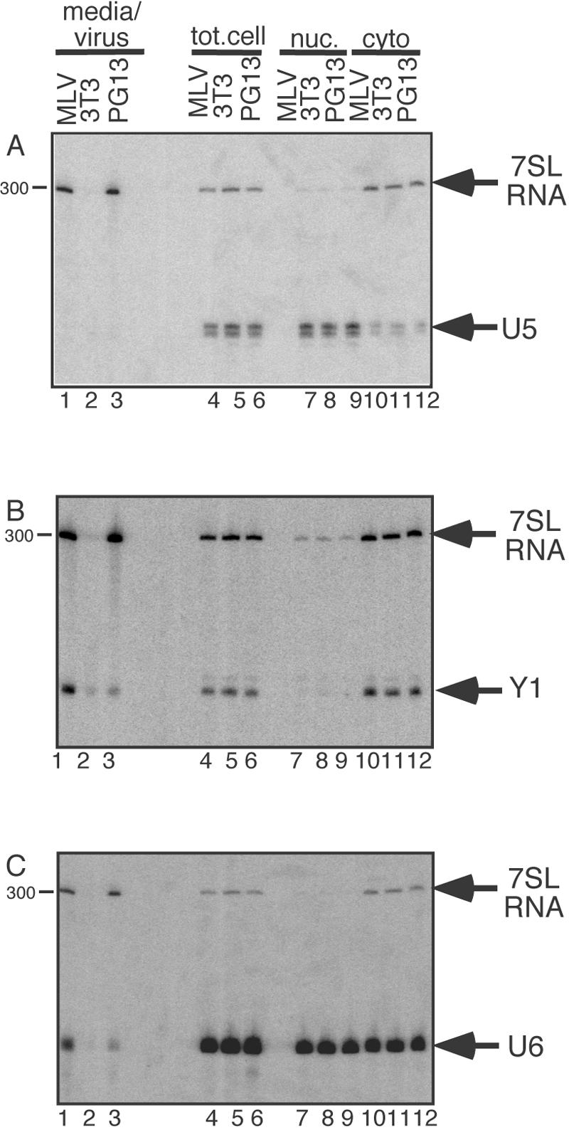 FIG. 6.