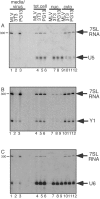 FIG. 6.
