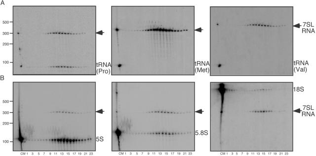 FIG. 4.