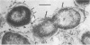 1938