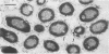1937