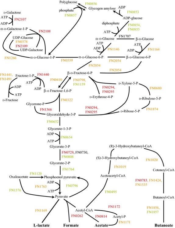 Figure 7