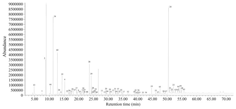 Fig. 1