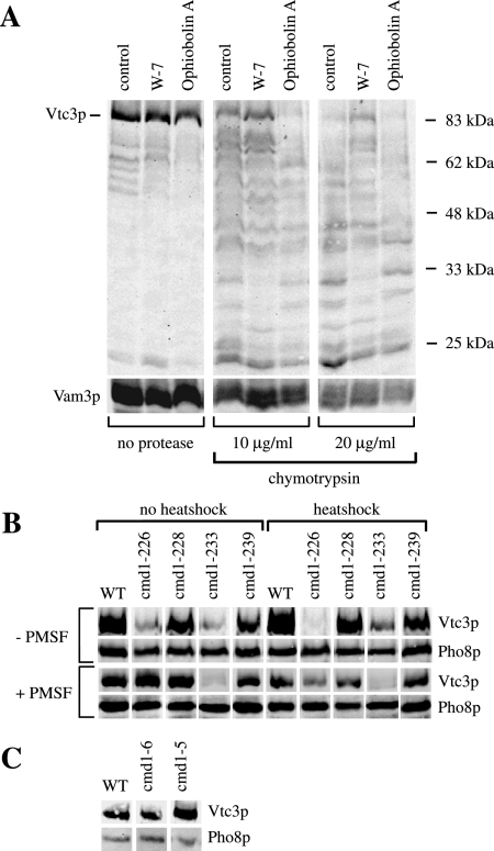 Figure 6.