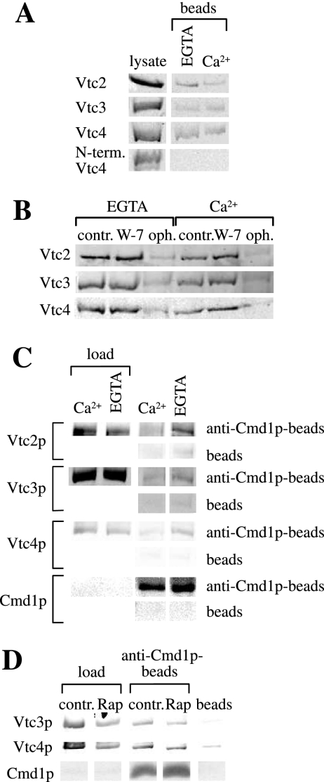 Figure 7.