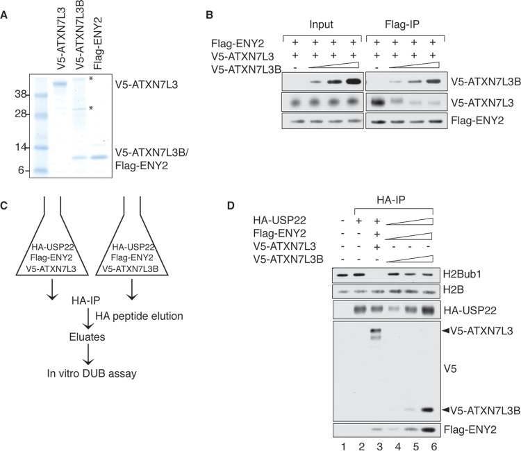 FIG 4