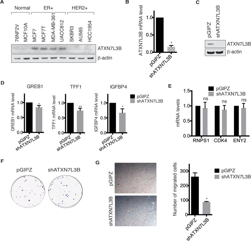 FIG 6