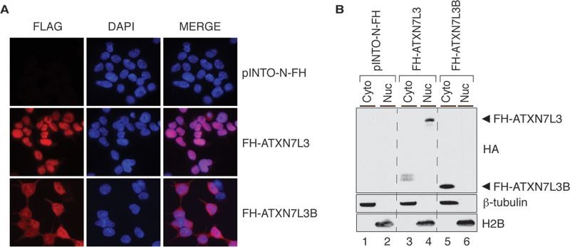 FIG 2