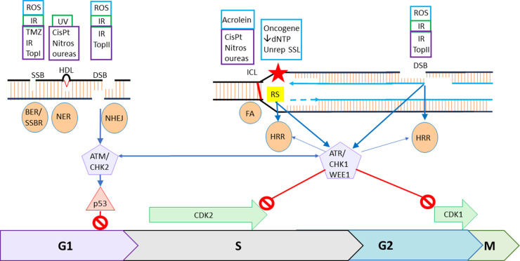 Figure 1.