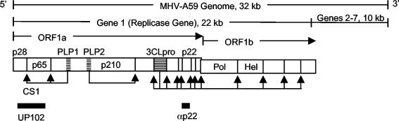 FIG. 1.