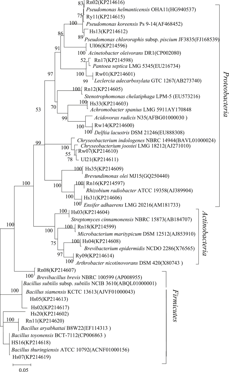 Fig. 2