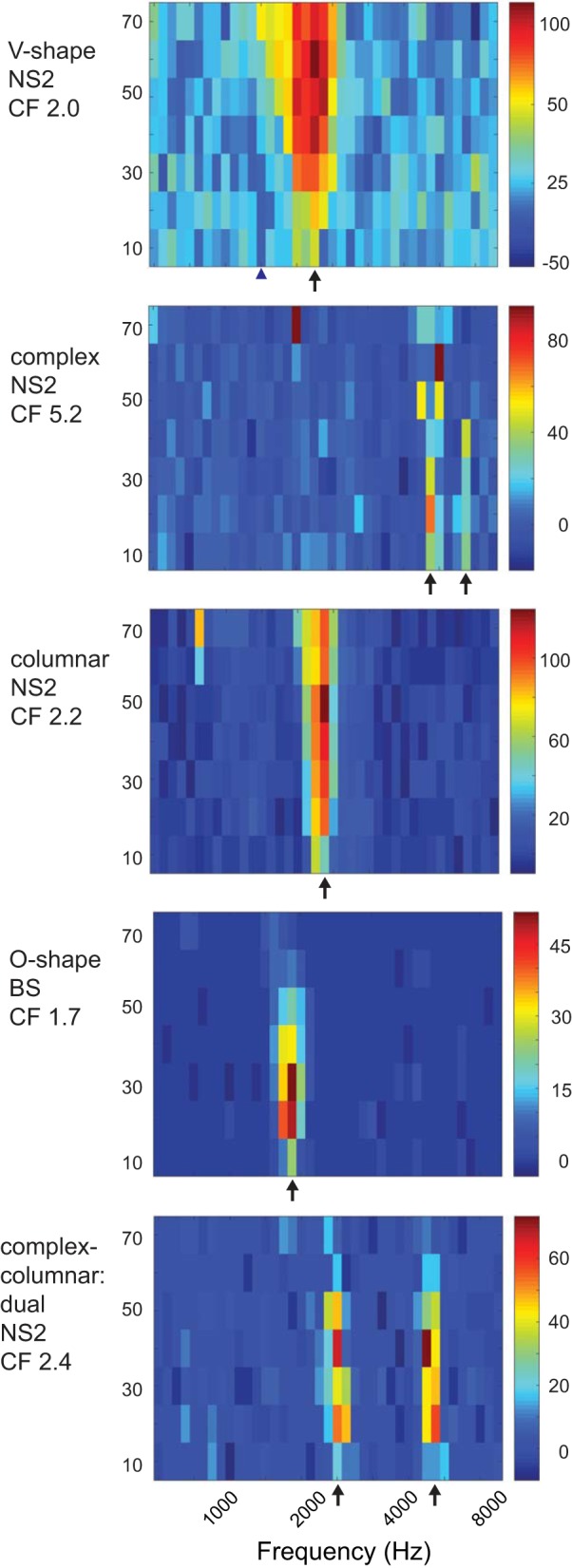 Fig. 7.