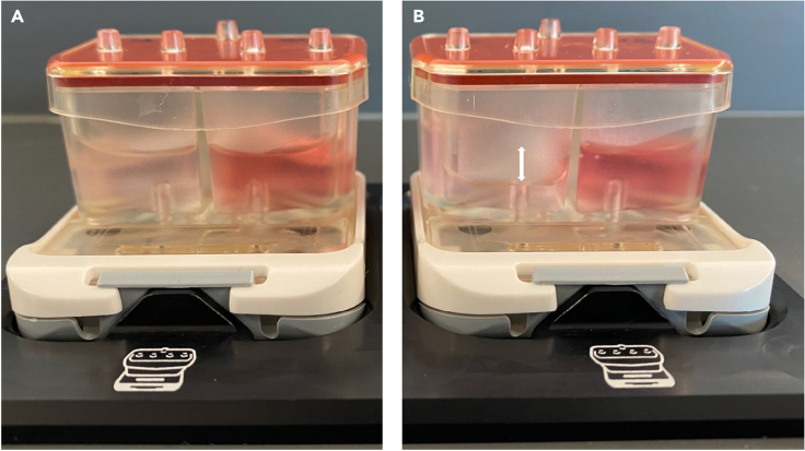 Figure 4