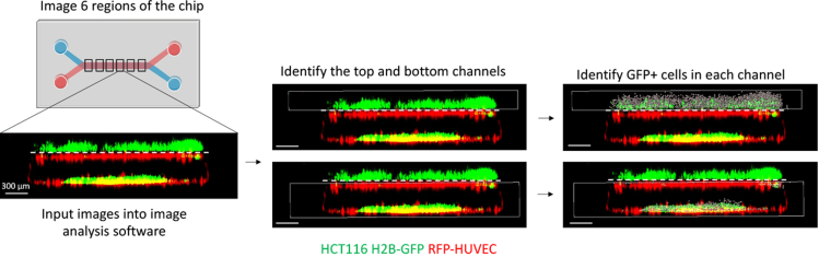 Figure 6