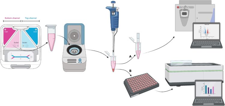 Figure 5