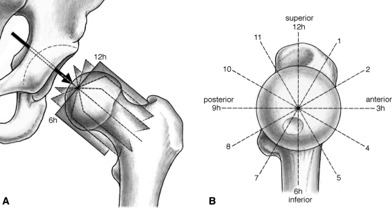 Fig. 1A–B