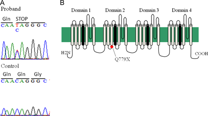 Fig. 4