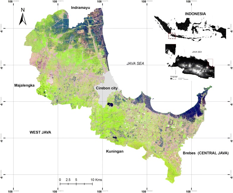 Fig. 1