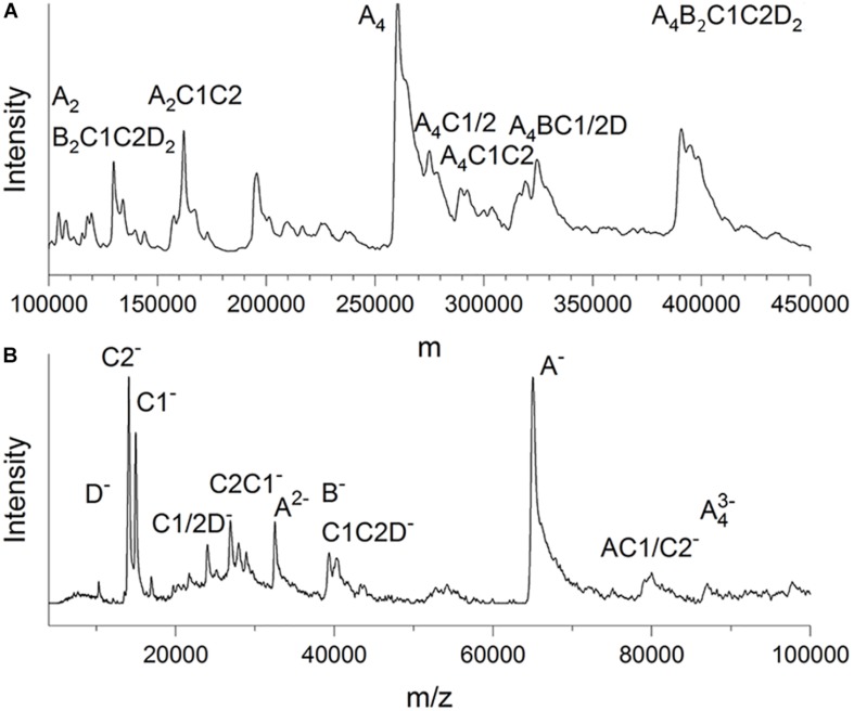 FIGURE 3