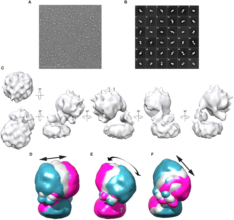 FIGURE 4