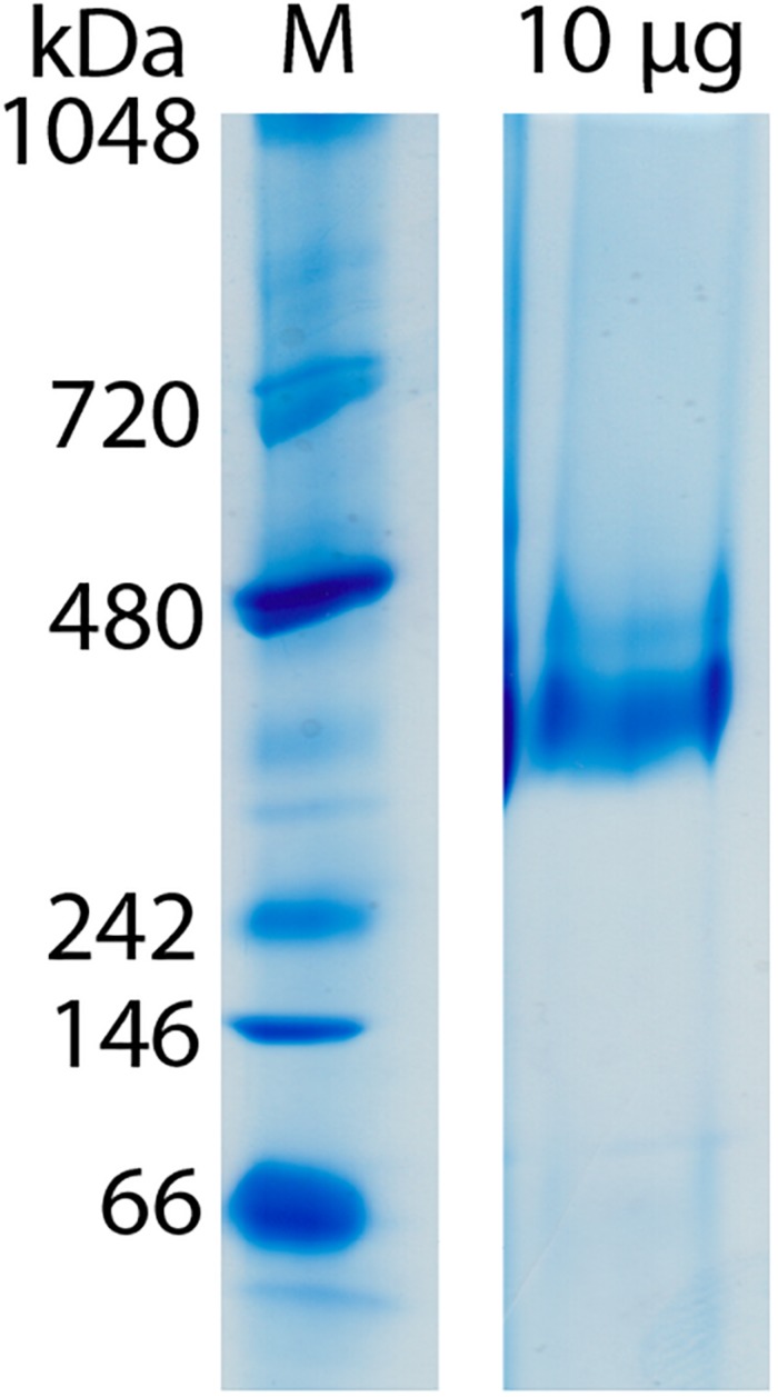 FIGURE 2