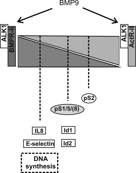 FIGURE 8.