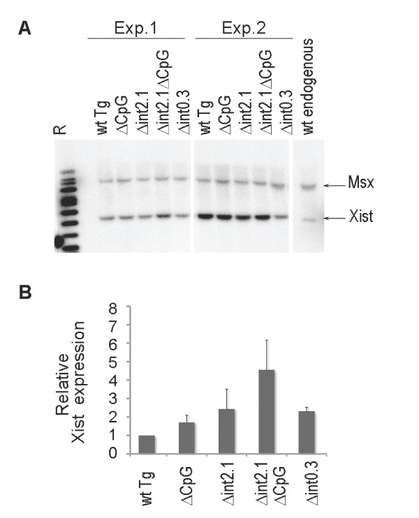 Figure 5