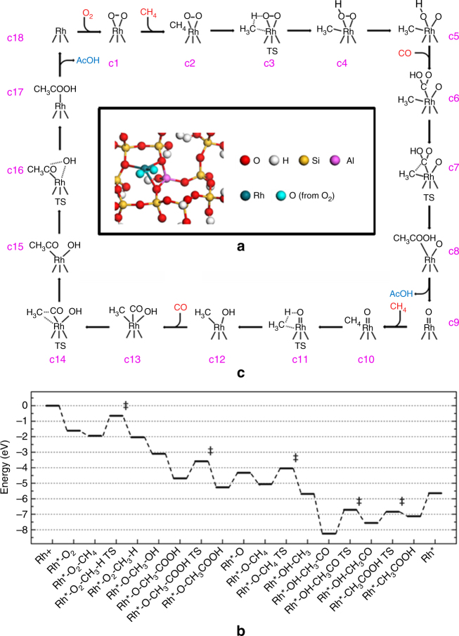 Fig. 6