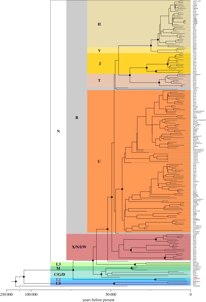 Figure 2.