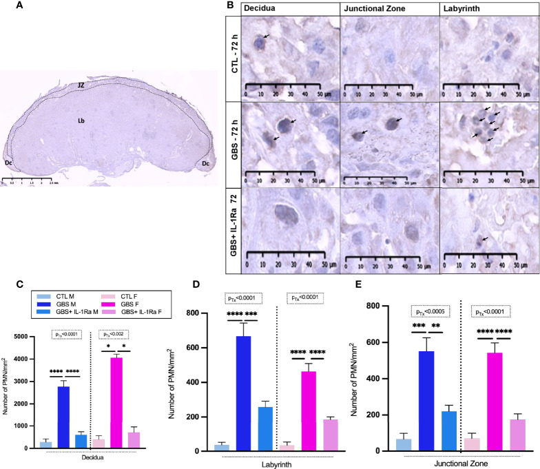 Figure 3