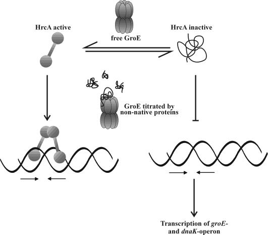 Fig 2.