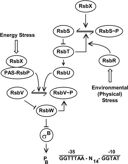 Fig 4.