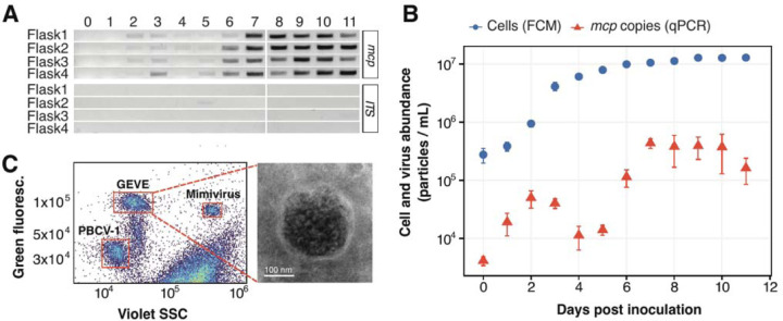 Fig. 2.