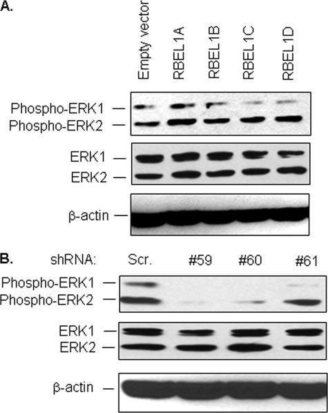 FIGURE 9.