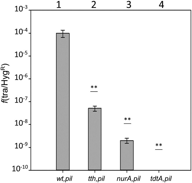 Fig 5