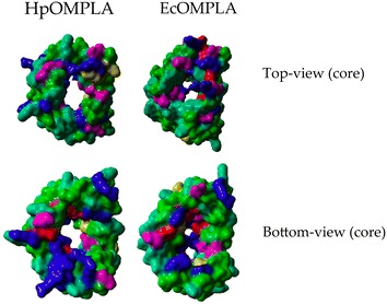 Fig. 6