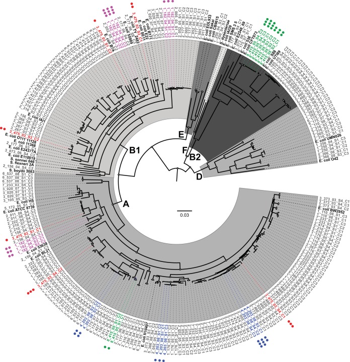 FIG 3