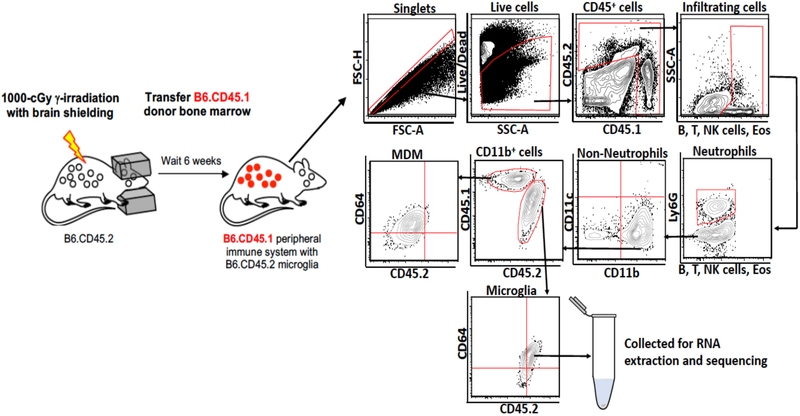 Figure 1: