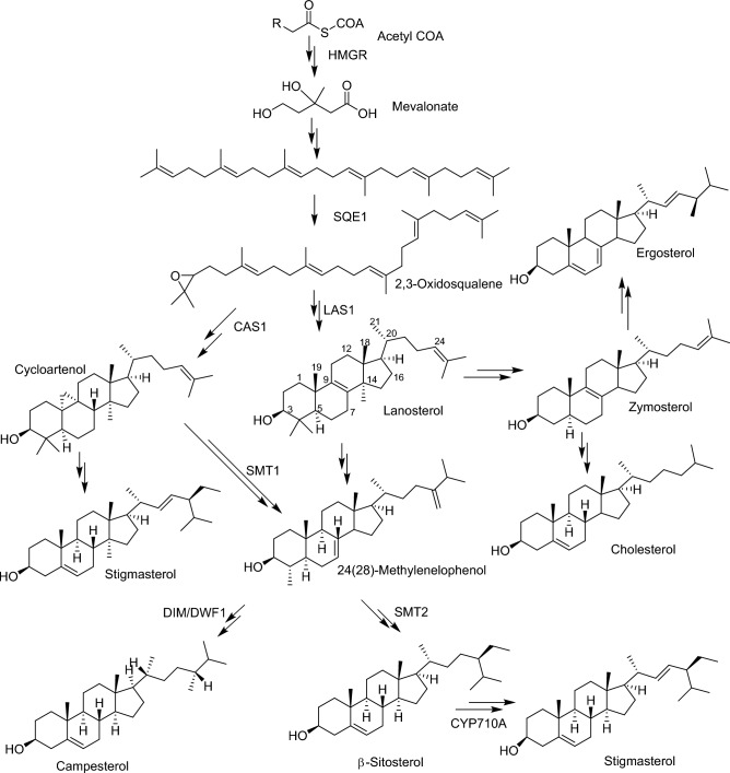 Figure 9