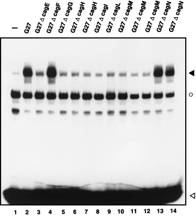 FIG. 1