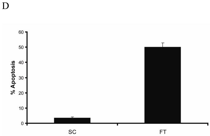 Fig.1