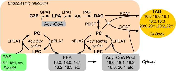 Figure 9.