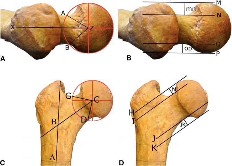 Fig. 2A–D