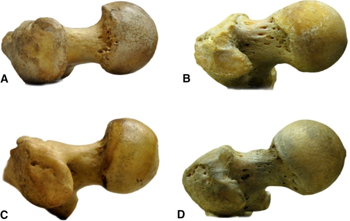 Fig. 4A–D