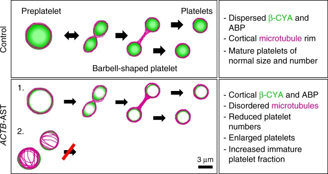 Fig. 9