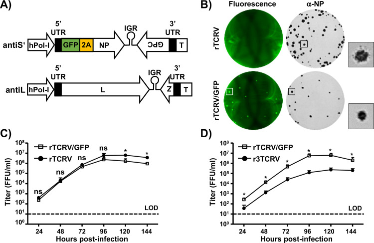 FIG 8