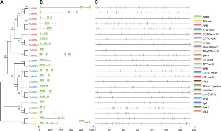 FIGURE 2