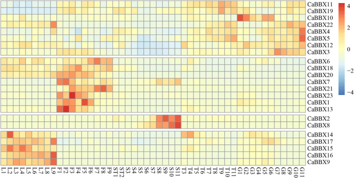 FIGURE 4