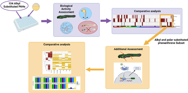 graphic file with name nihms-2041815-f0006.jpg