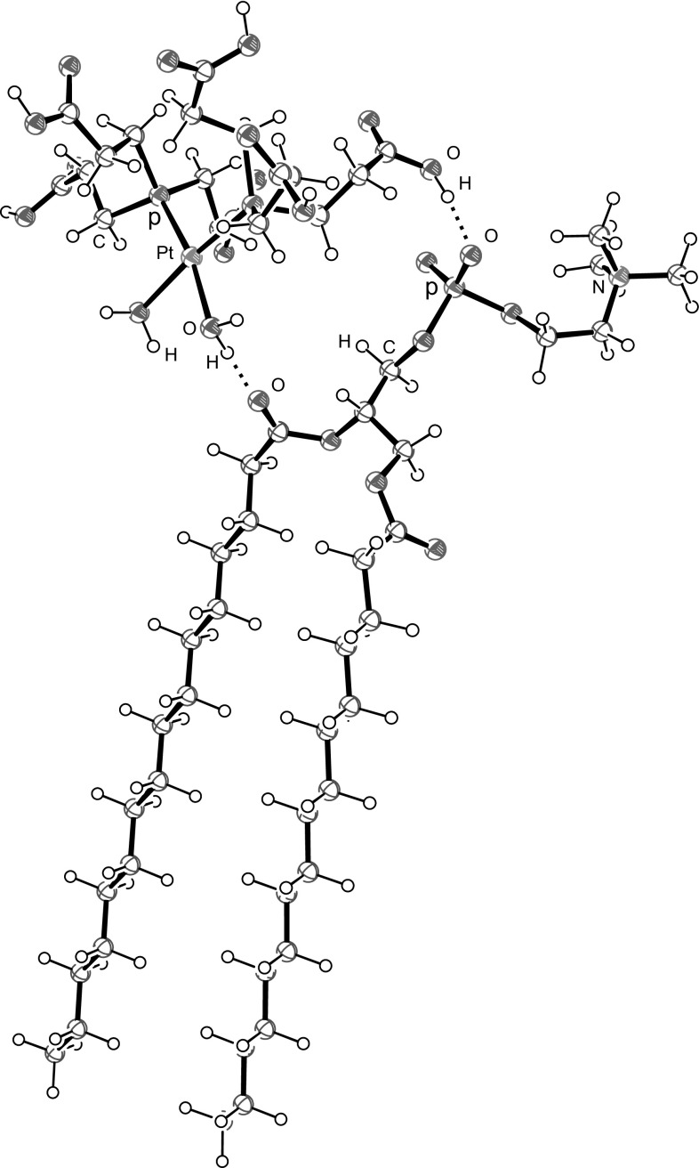 Fig. 5